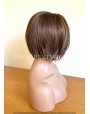 Synthetic Lace Front Wig Straight Brown Short Hair